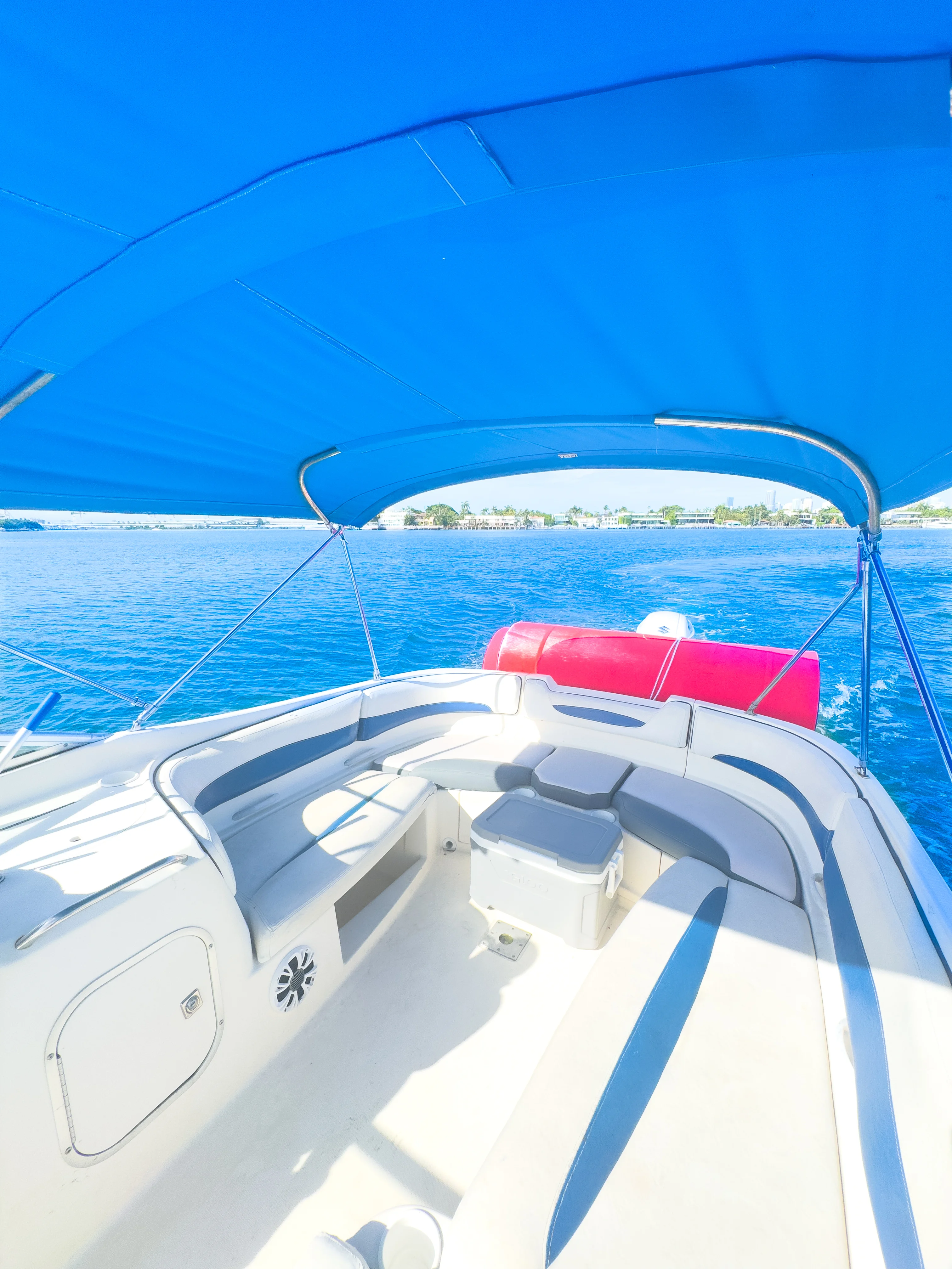 26ft Bayliner Max controls